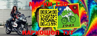 индика Кимры