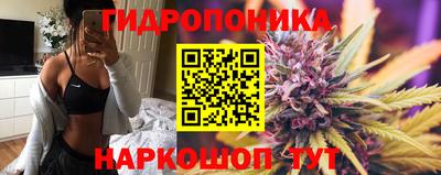 СК Кинель