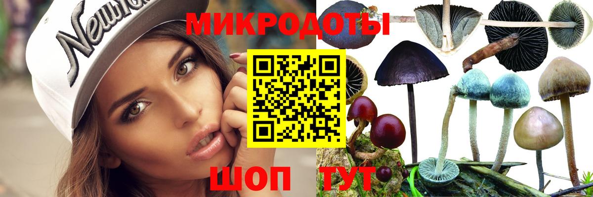 Галлюциногенные грибы Psilocybine cubensis  Вход с VPN  Клинцы 